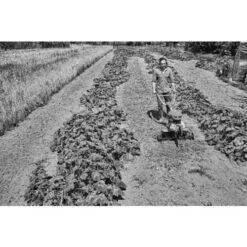 Motobineuse Thermique 4,4kW Stihl MH 600 - 6250-011-3915 -Outils De Jardin Soldes AFD 160916