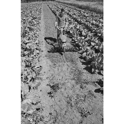 Motobineuse Thermique 5,2kw Stihl MH 700 6251-011-3910 4 Motobineuse Thermique 5,2kw Stihl MH 700 6251-011-3910 – Image 2