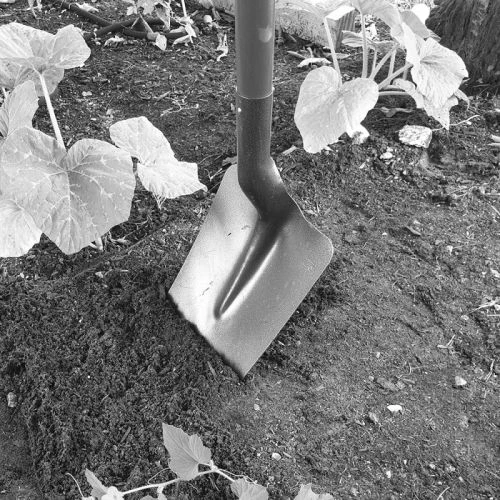 Pelle De Jardin Mermier PRO TERRASSIER Carrée à Col De Cygne En Acier Trempé 4 Pelle De Jardin Mermier PRO TERRASSIER Carrée à Col De Cygne En Acier Trempé – Image 2